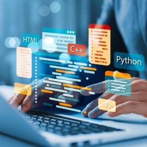 Hardware and Software Development